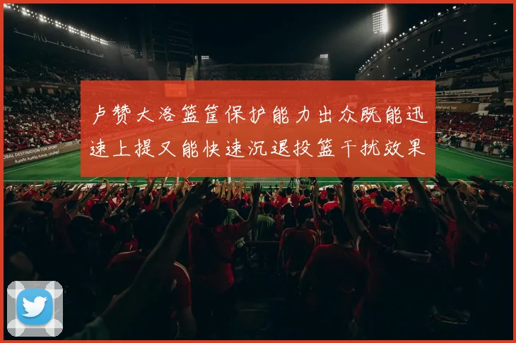 卢赞大洛篮筐保护能力出众既能迅速上提又能快速沉退投篮干扰效果显著