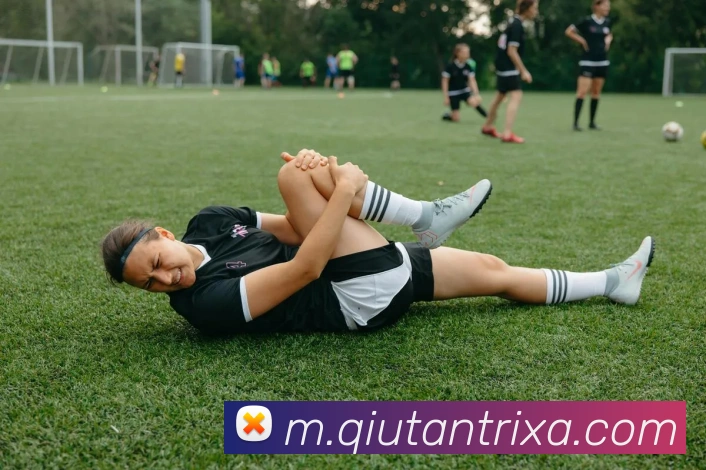 球探体育平台生态图