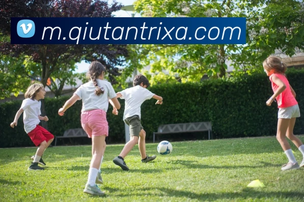 球探体育APP 封面图